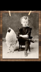 Meet your Posher, Casey